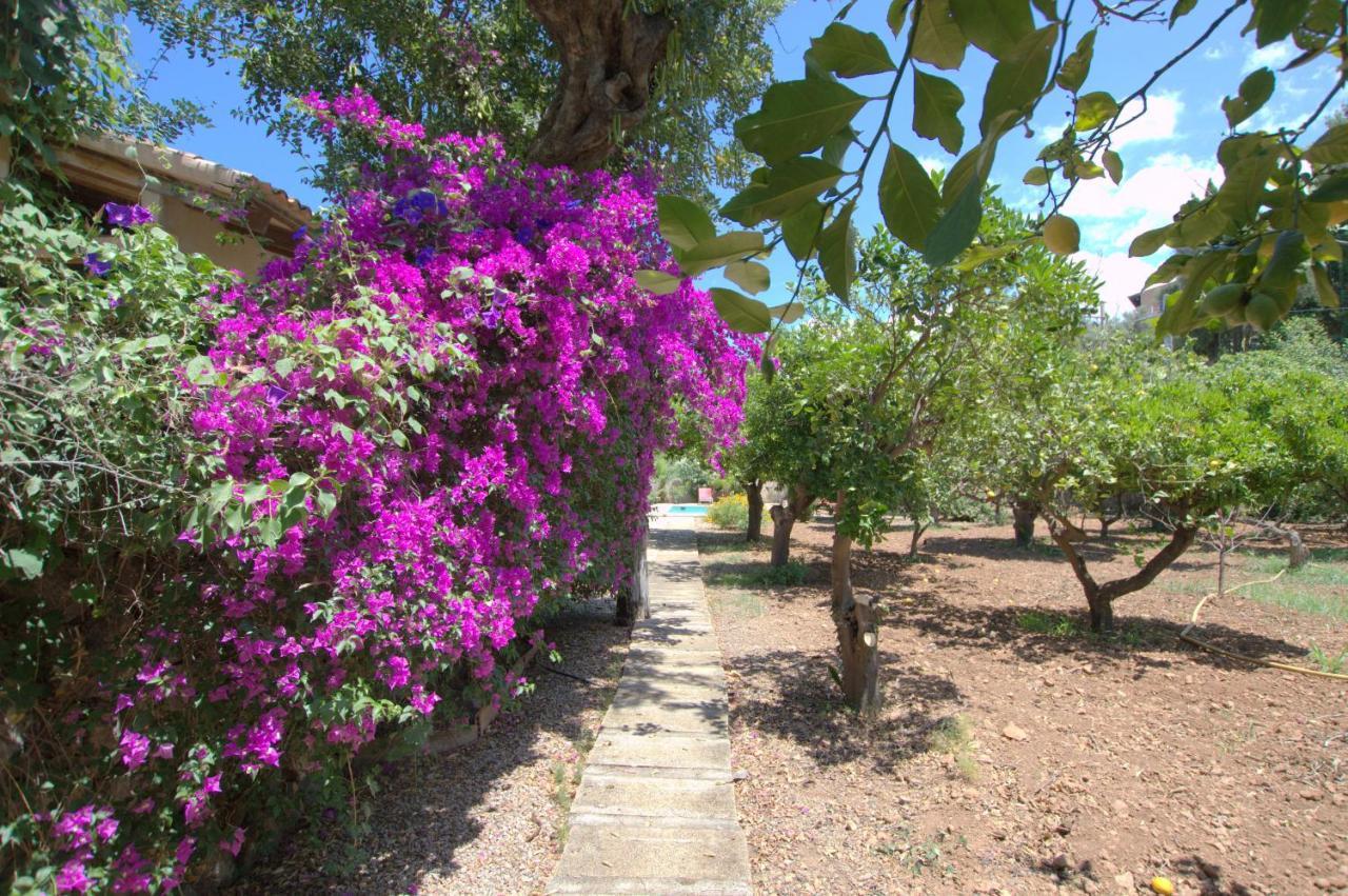 Chalet Alconasser 3 - Amazing Seaviews Between Deia &